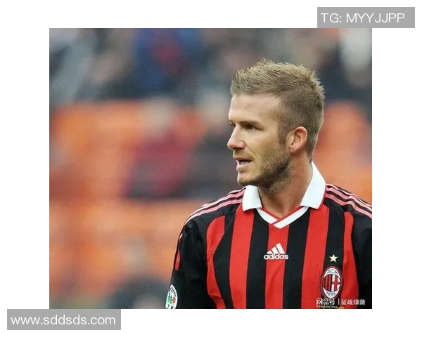 洛宾：从荷兰天才到足坛传奇的成长历程与辉煌时刻